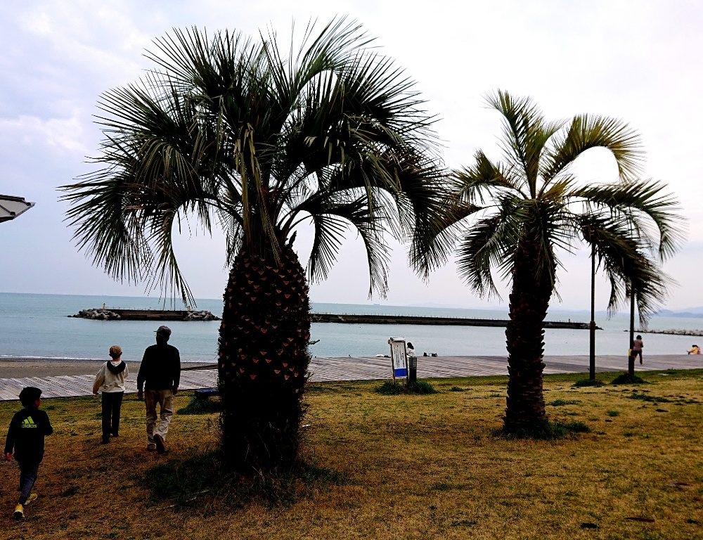 話したいことがあります。