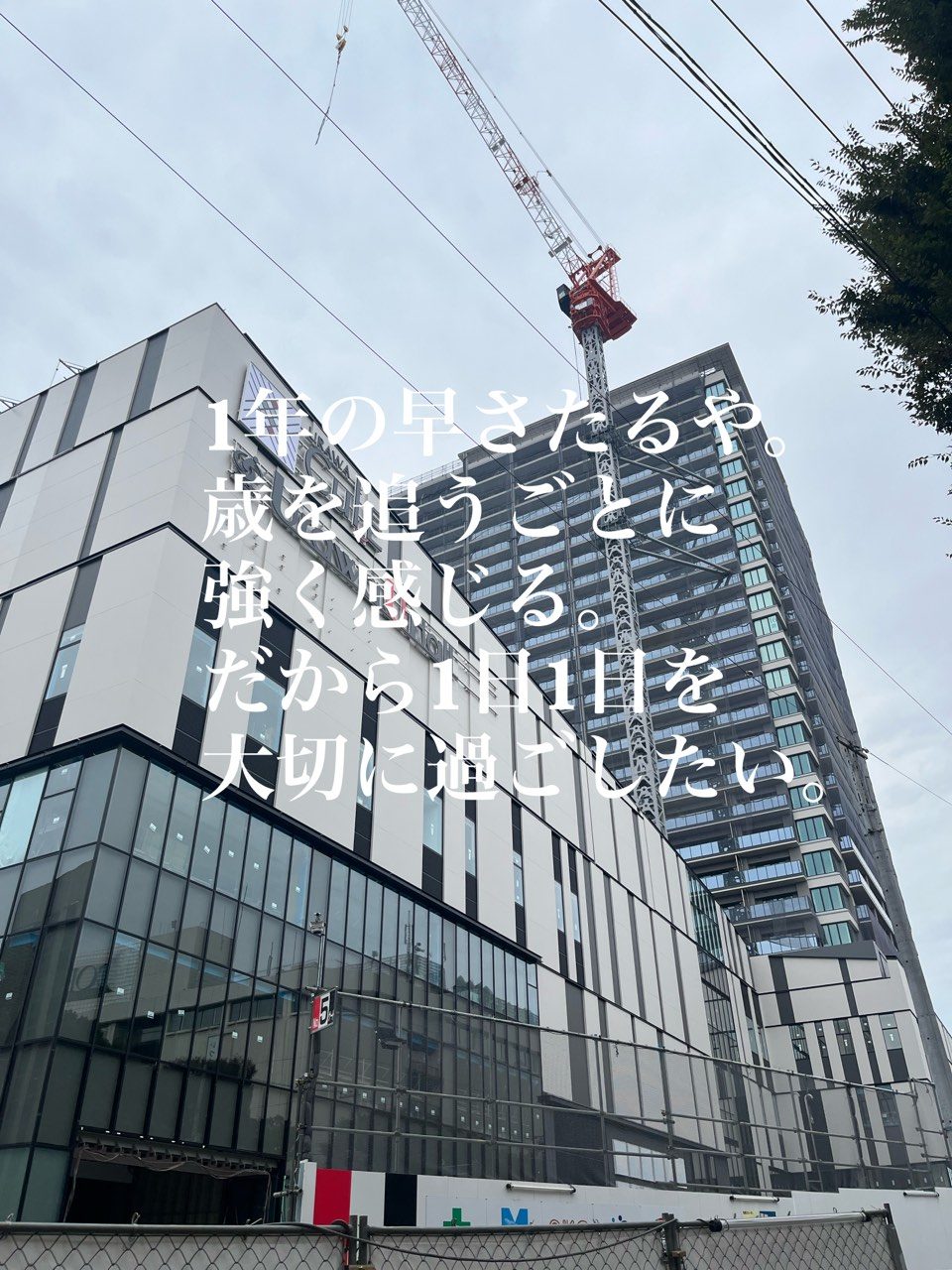 2025年振り返り。